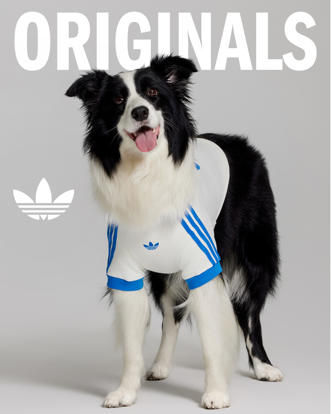 adidas Facebook ad