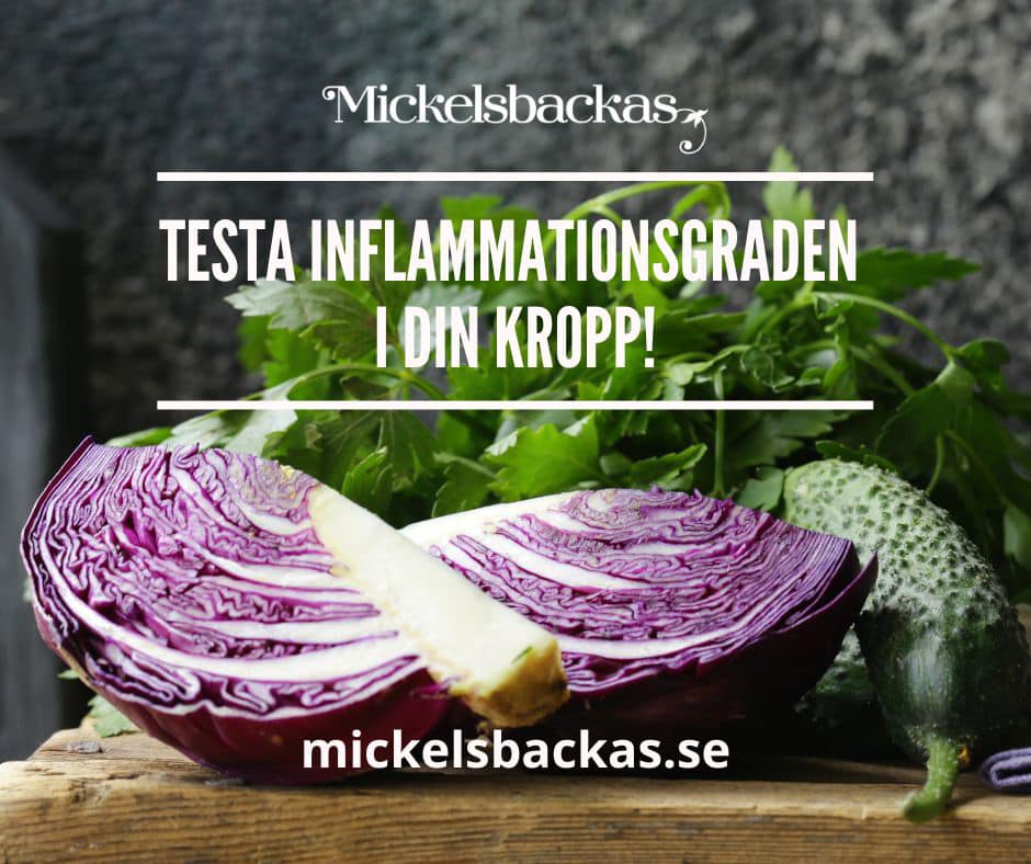 Mickelsbackas Antiinflammatoriska Kost Facebook ad: Mickelsbackas Antiinflammatorisk Kost