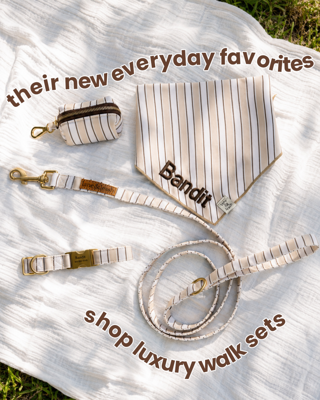 Lane&Leash Facebook ad
