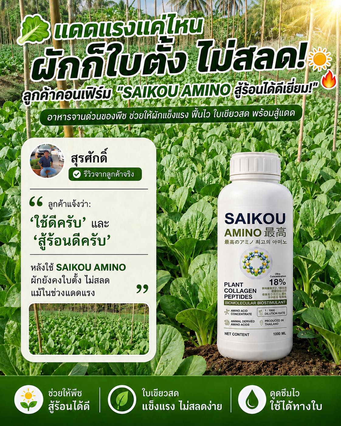Saikou AMINO Thailand Facebook ad: แดดแรงแค่ไหน ผักก็ใบตั้ง ไม่สลด!