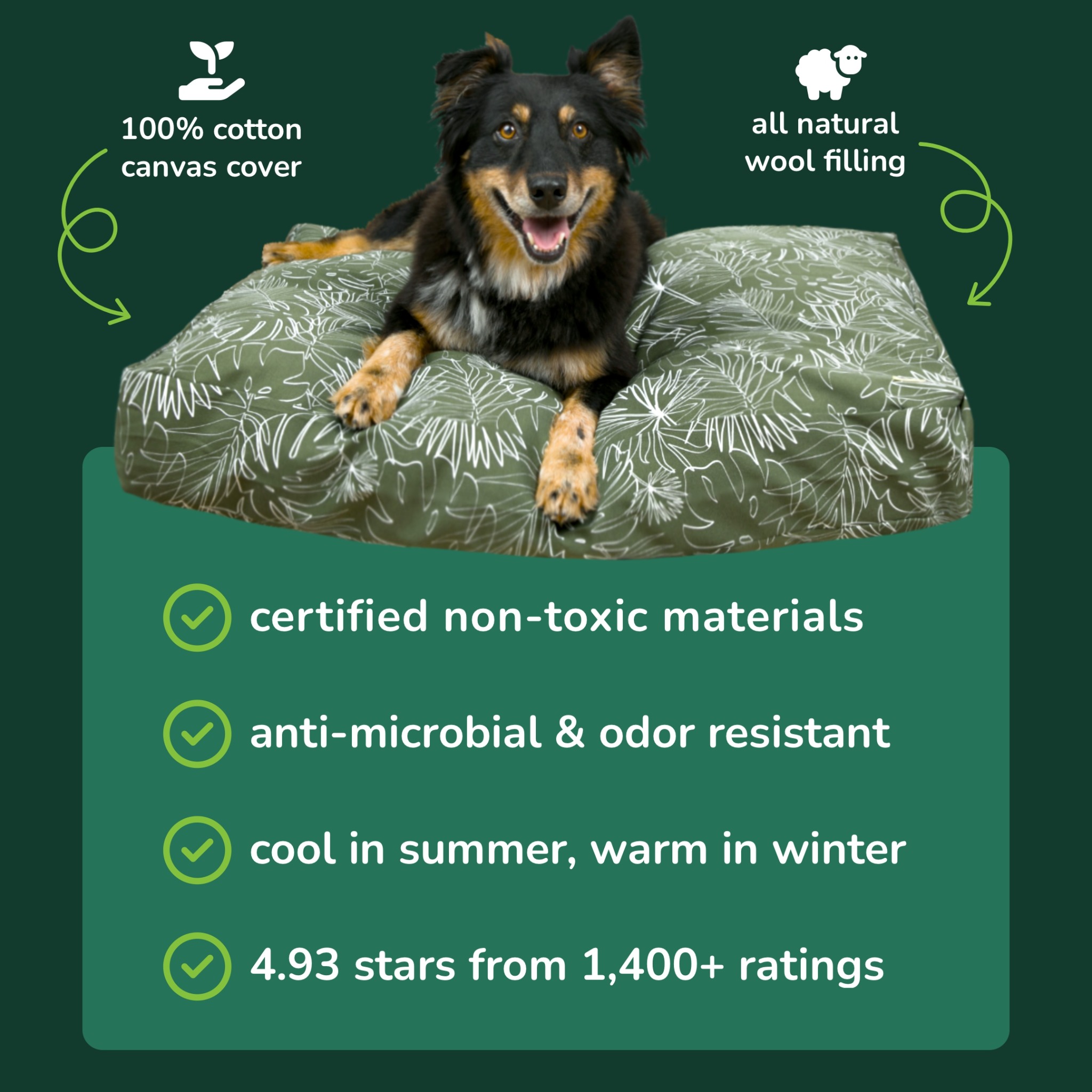 Molly Mutt Facebook ad