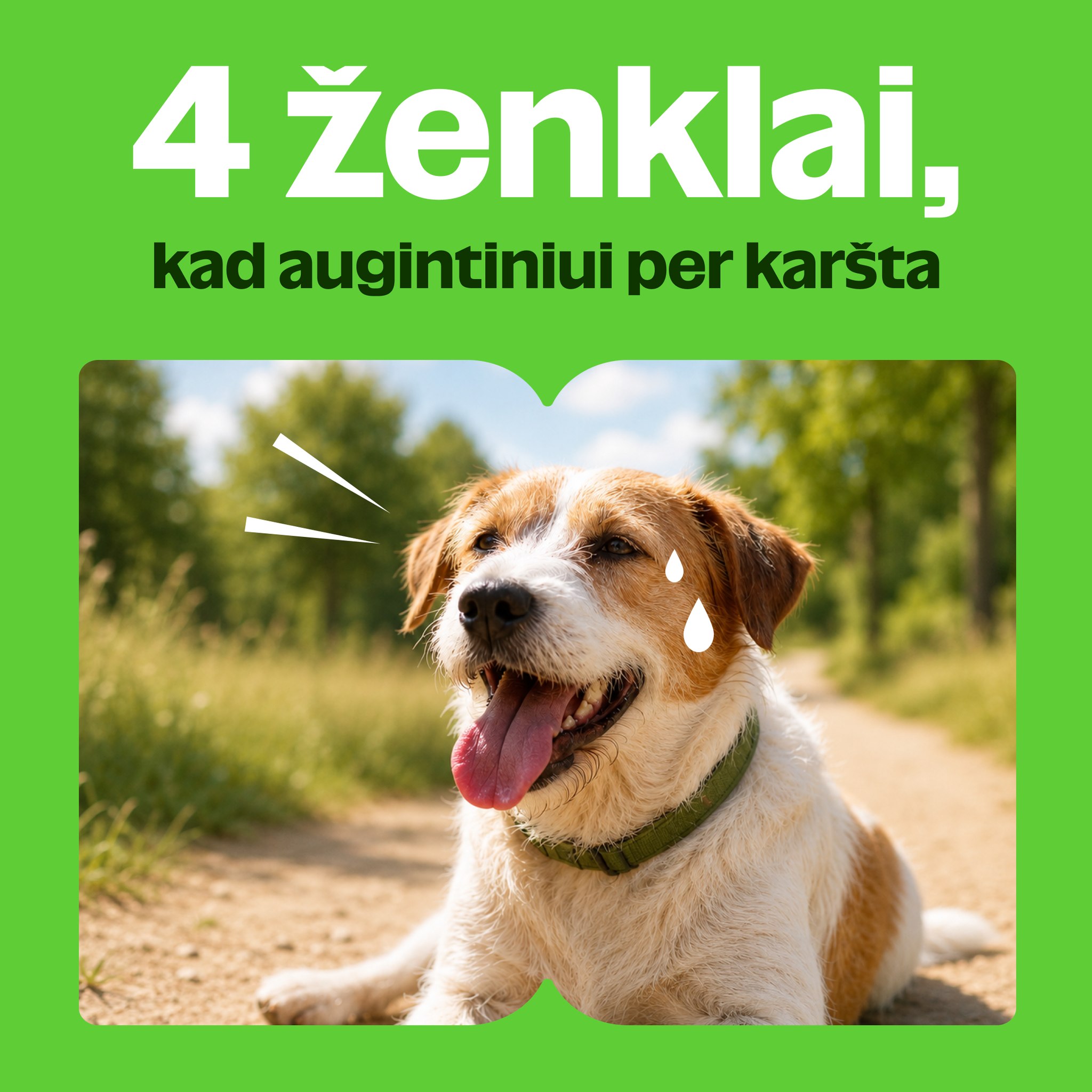 KIKA Facebook ad