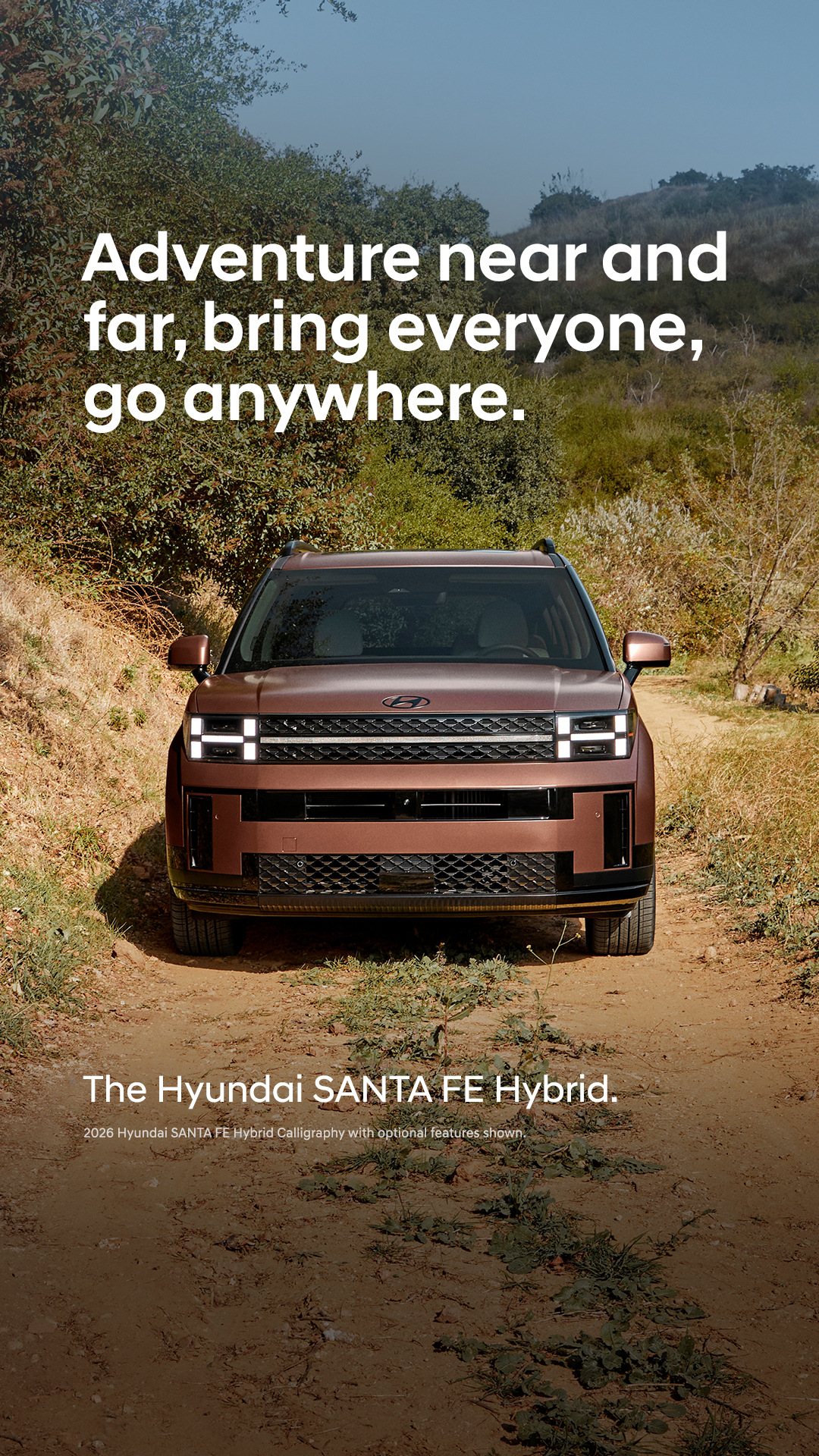 Hyundai Facebook ad
