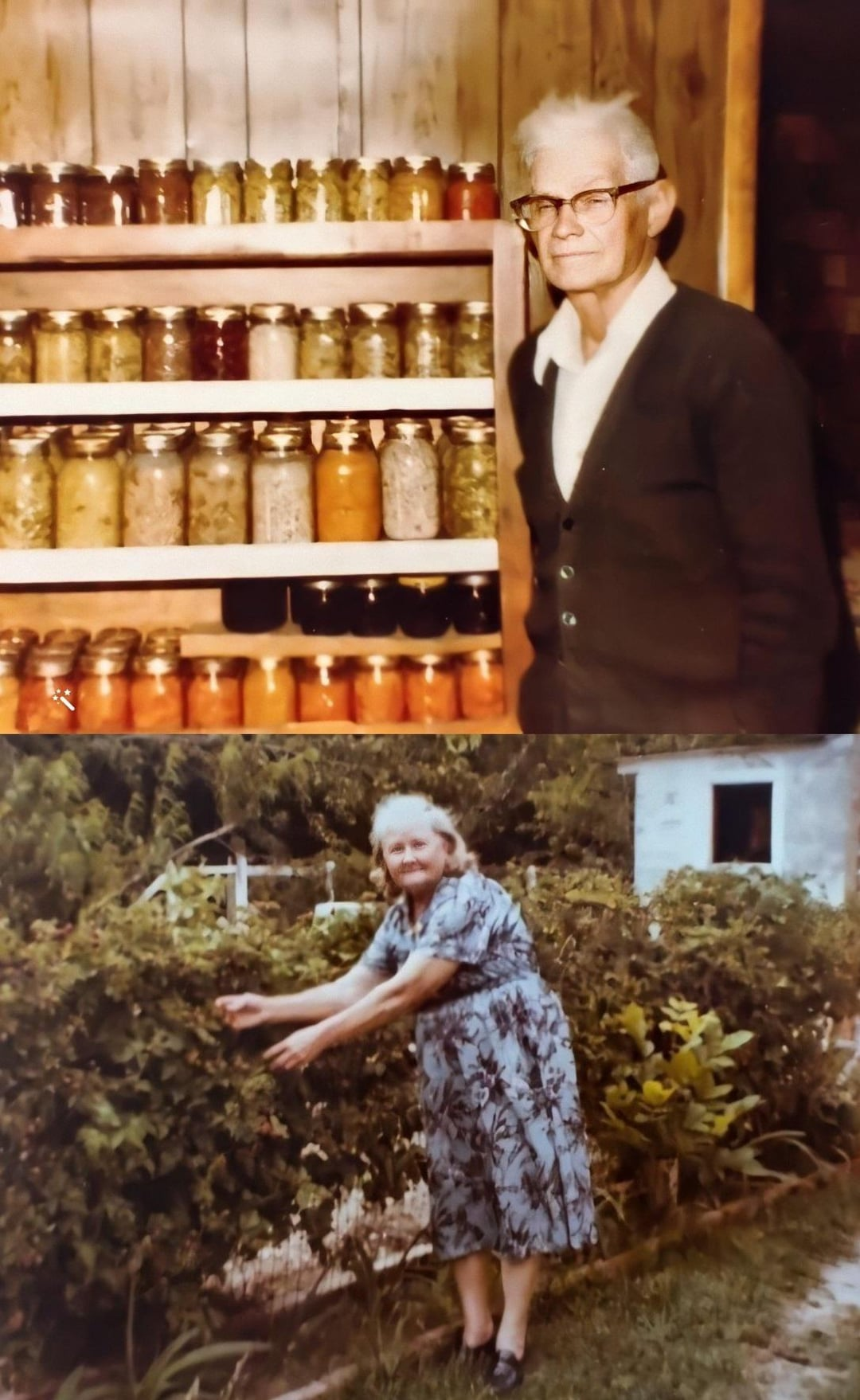 Rooted Remedies Facebook ad