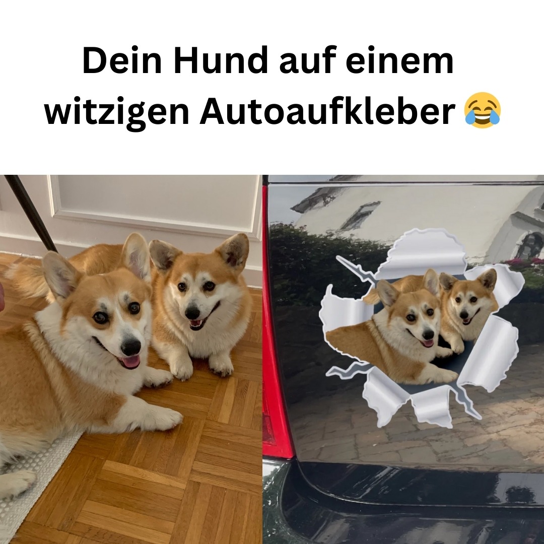 Pet Printed Facebook ad