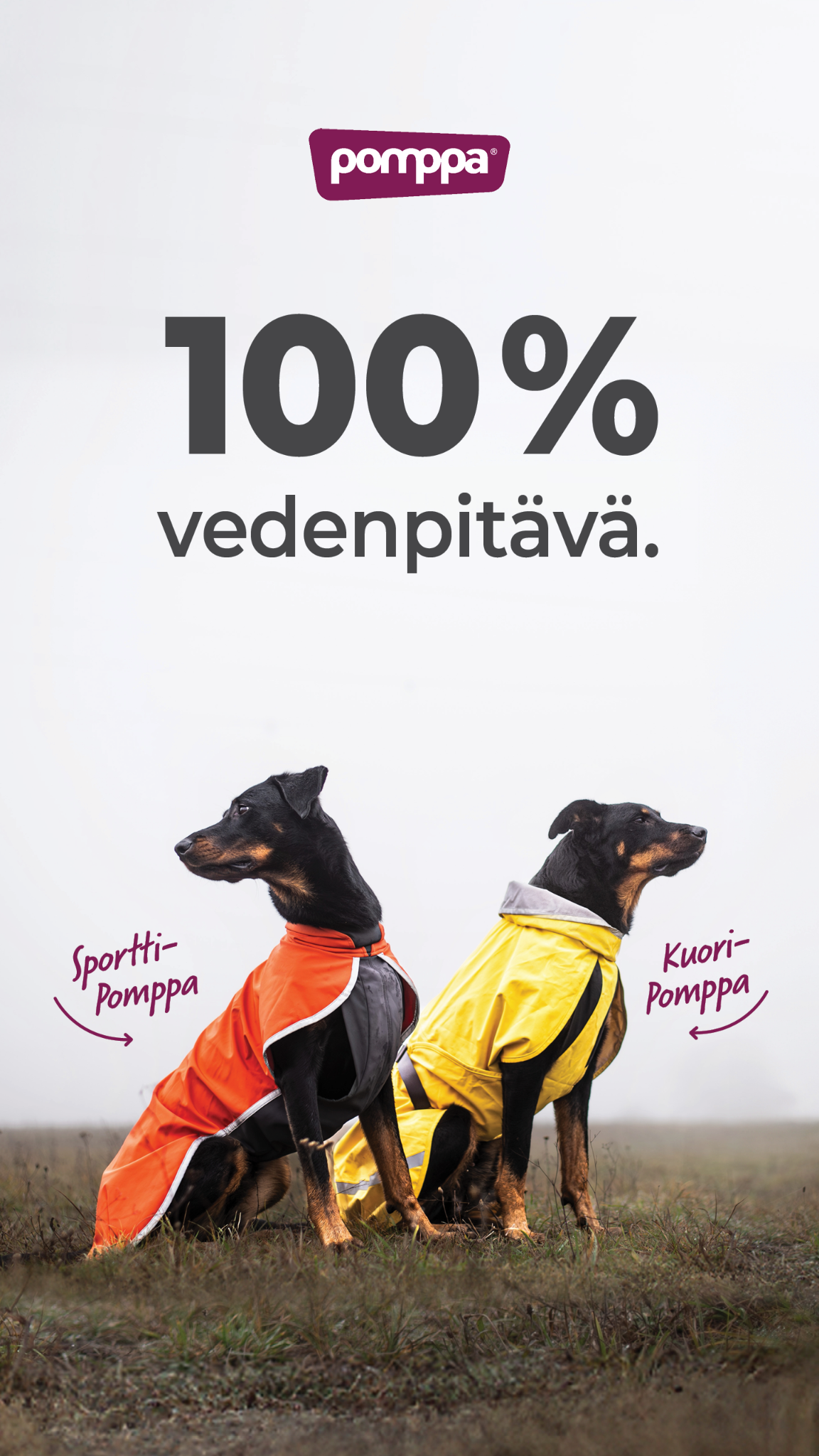 Pomppa Dogwear Facebook ad from Jun 24, 2026