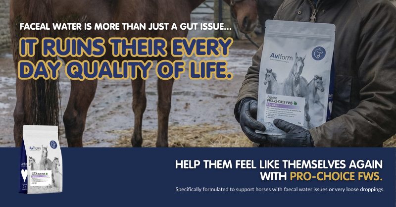 Aviform Nutrition UK - Horse & Dog Facebook ad