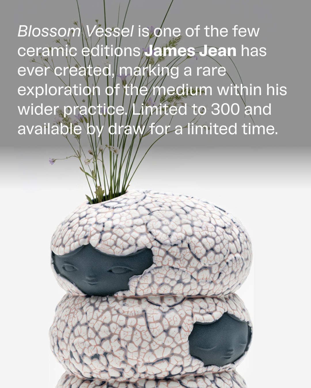 James Jean Facebook ad