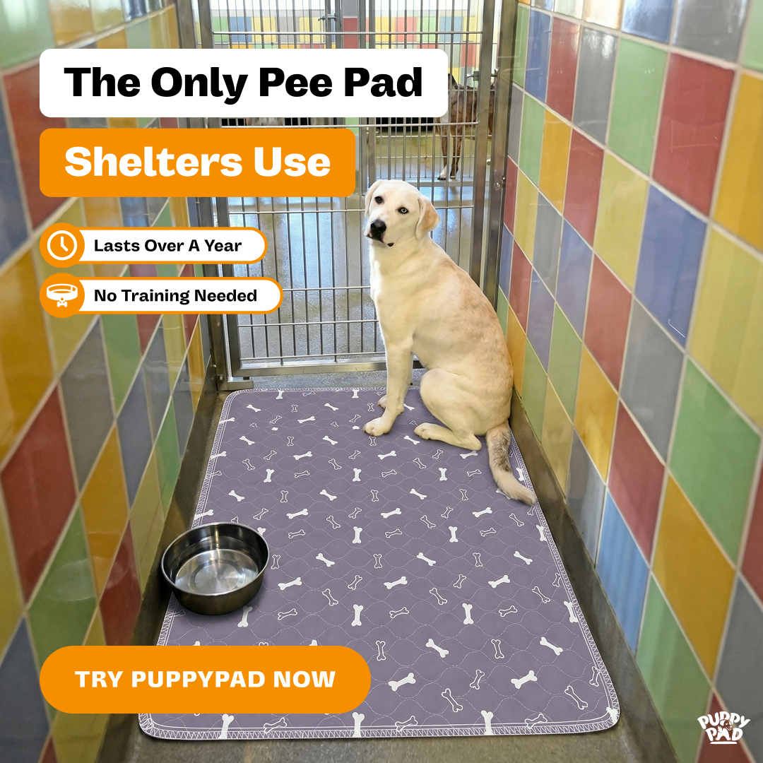 PuppyPad Facebook ad