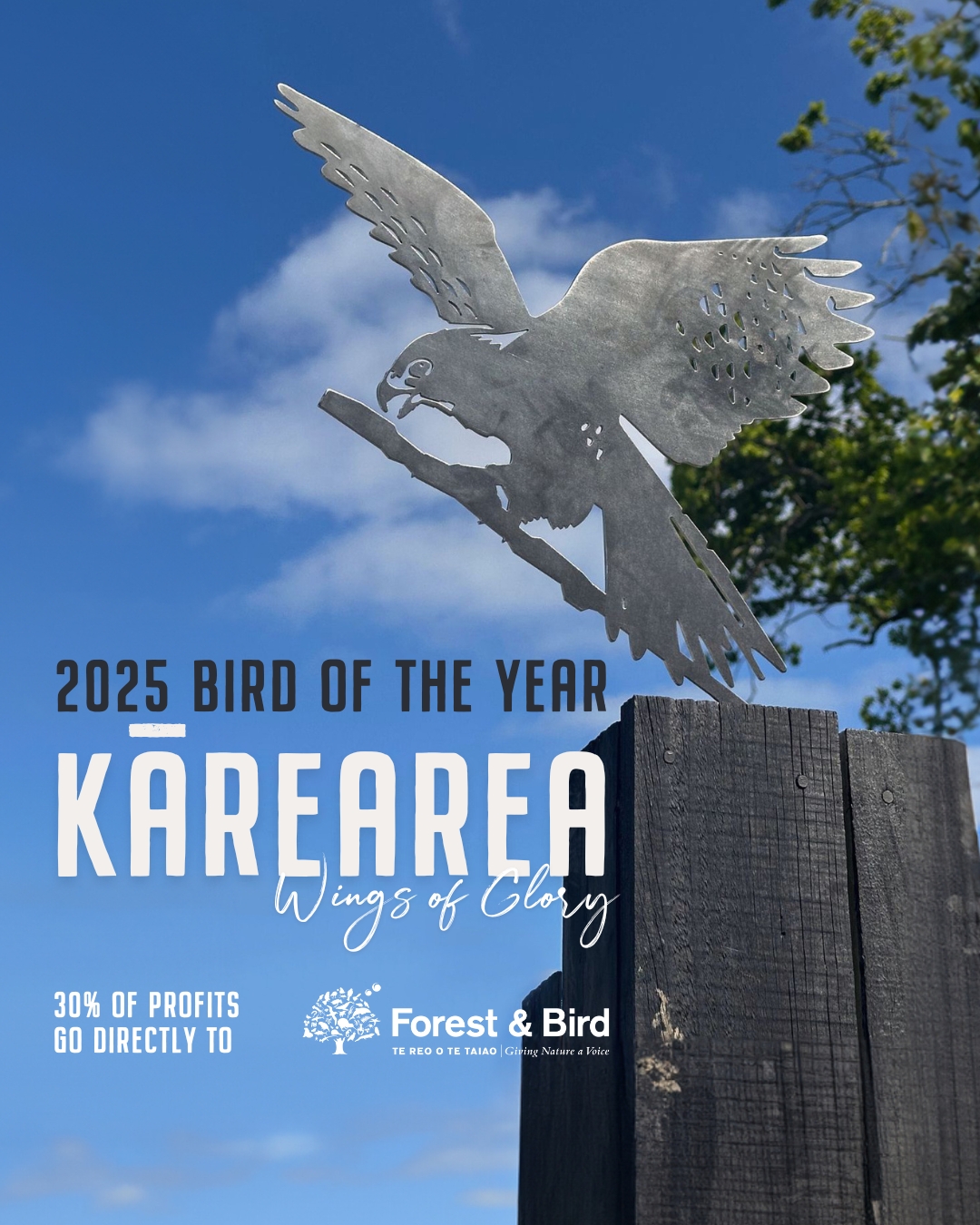 Metalbird New Zealand Facebook ad