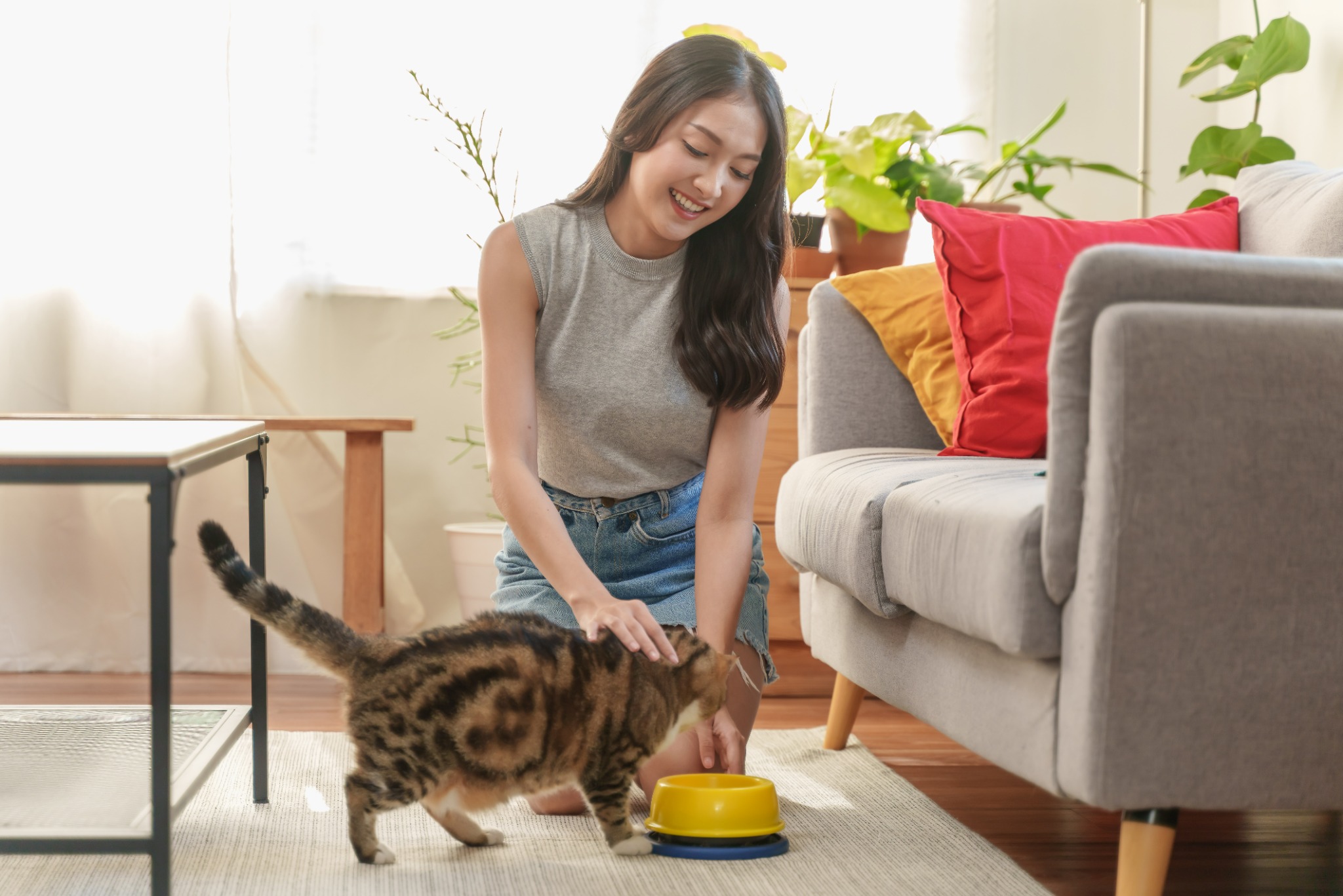 Nationwide Pet Facebook ad