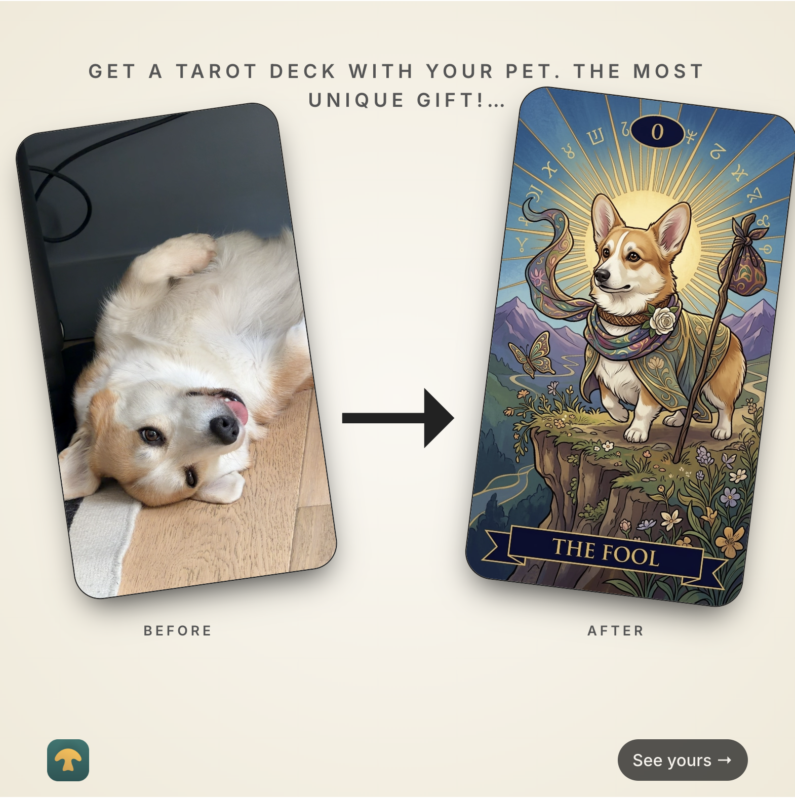 Tails & Cie Facebook ad