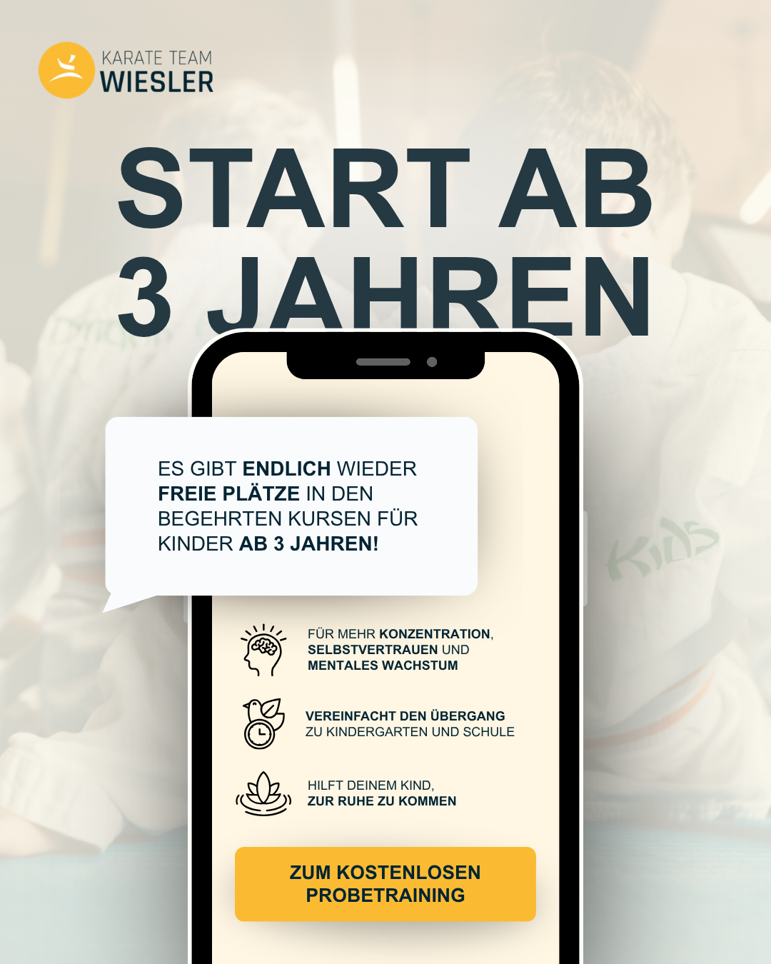 Karate Team Wiesler Facebook ad