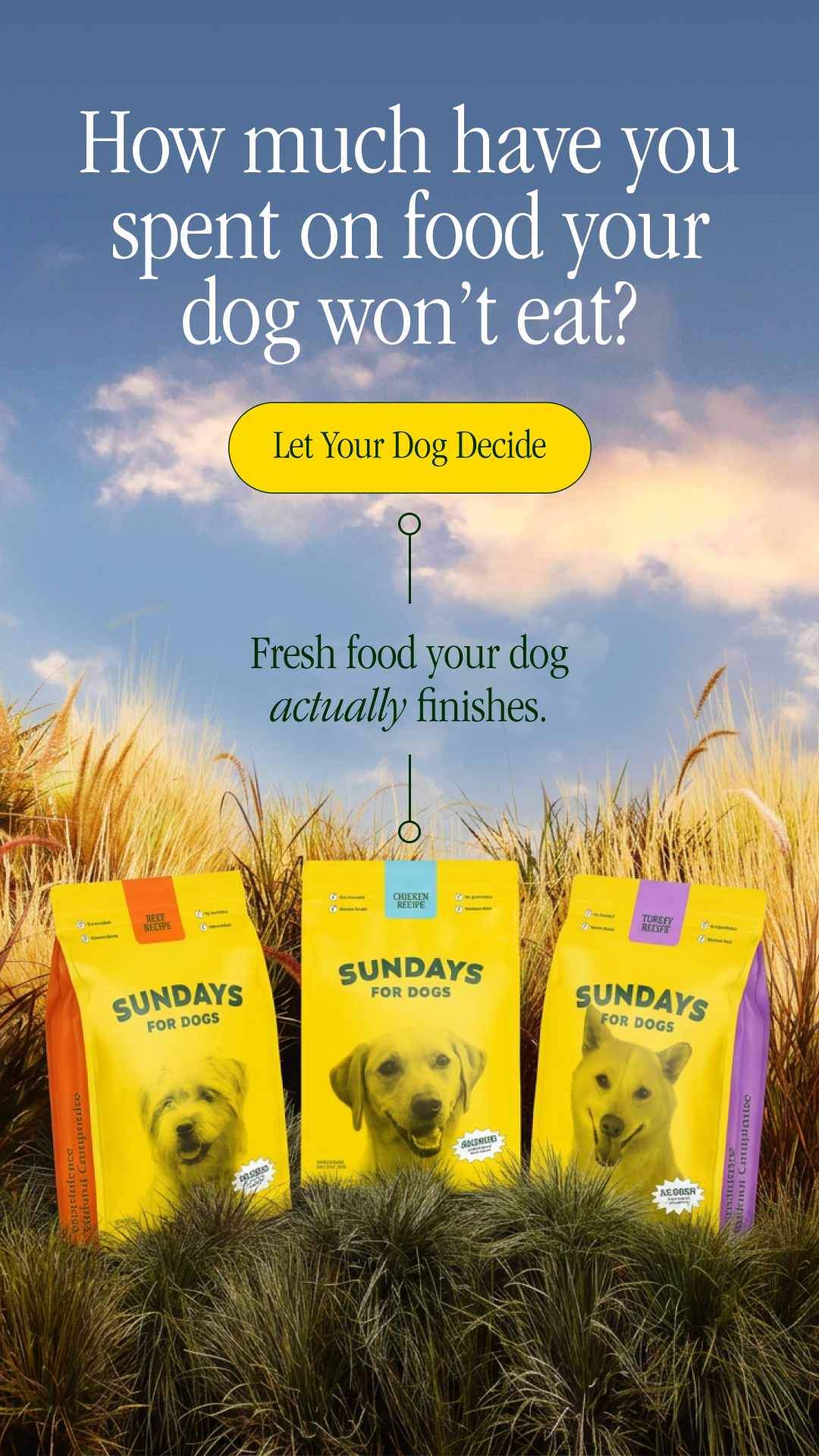 Sundays Facebook ad
