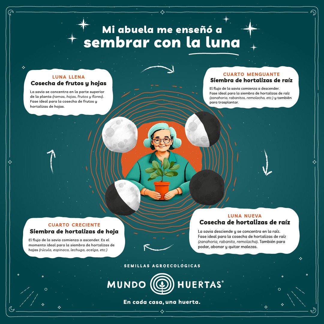Mundo Huertas Facebook ad