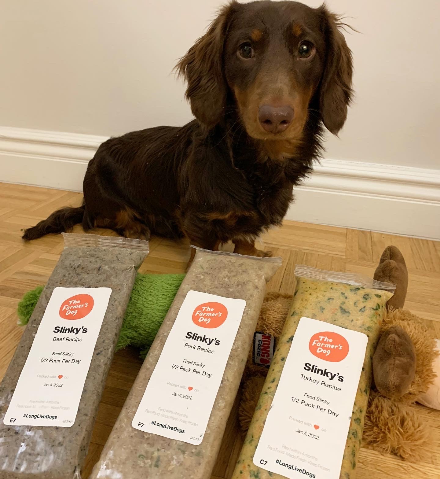 The Farmer's Dog Facebook ad
