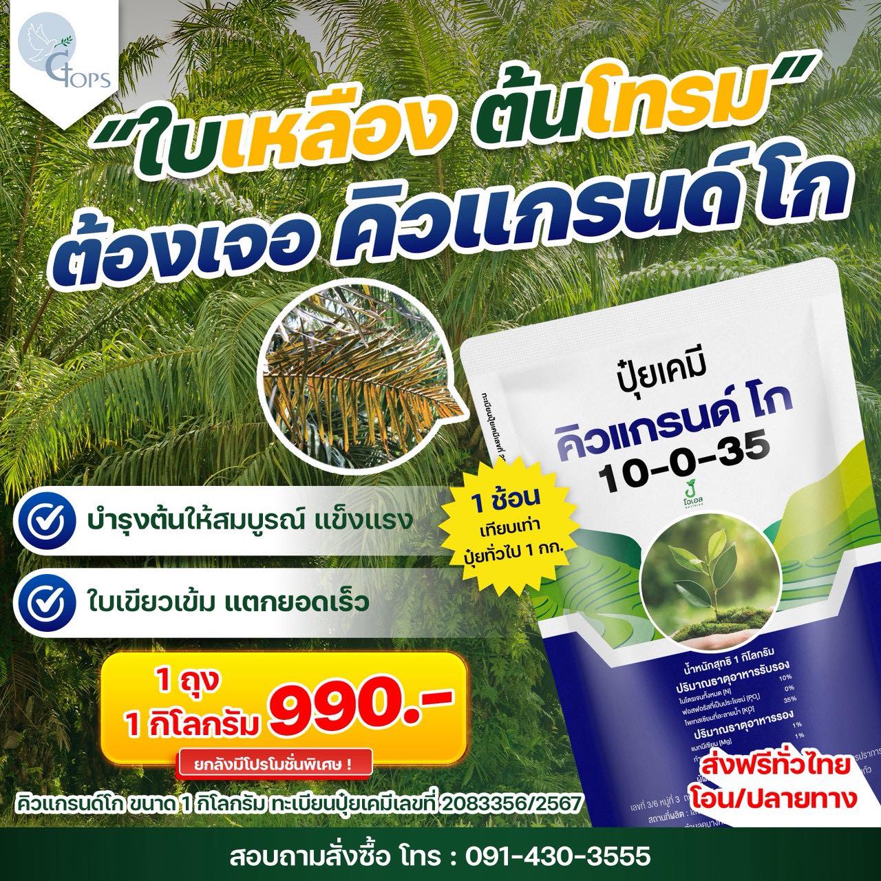 ปุ๋ยคิวแกรนด์ - ปุ๋ยปาล์มลูกดก ทลายใหญ่ น้ำหนักดี ต้นสมบูรณ์ Facebook ad: ใบเหลือง ต้นโทรม ผลผลิตน้อย อย่าปล่อยไว้!