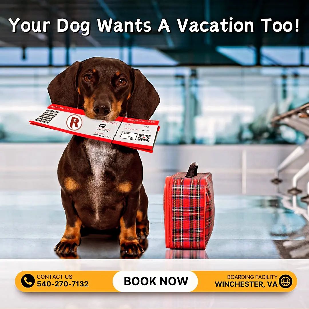 Ridgeside K9, LLC Facebook ad