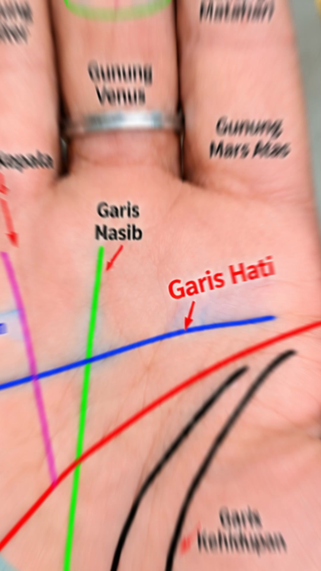 AI Palm: Horoscope, Astrology Facebook ad: Apakah masa depanmu tertulis di garis tanganmu?