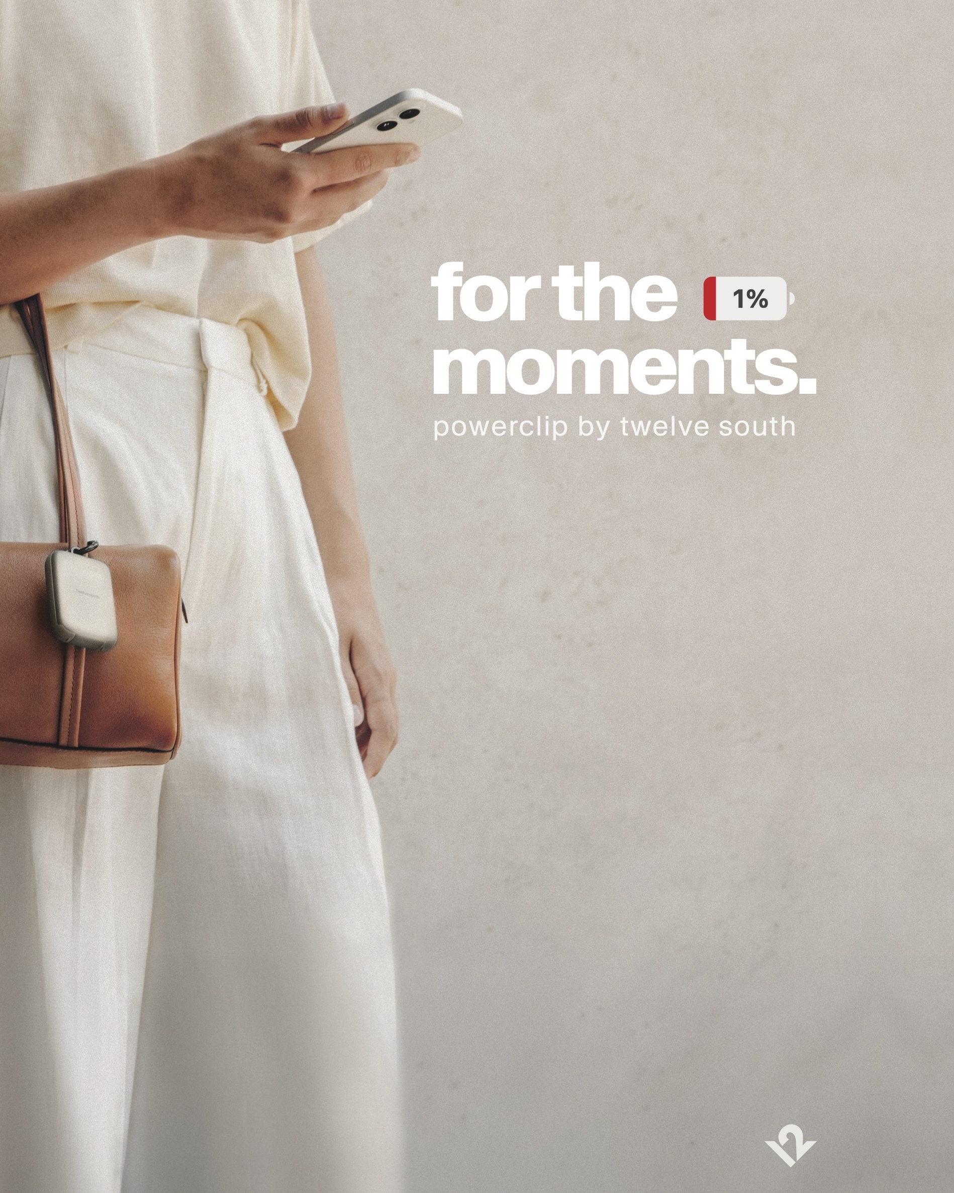 Twelve South Facebook ad