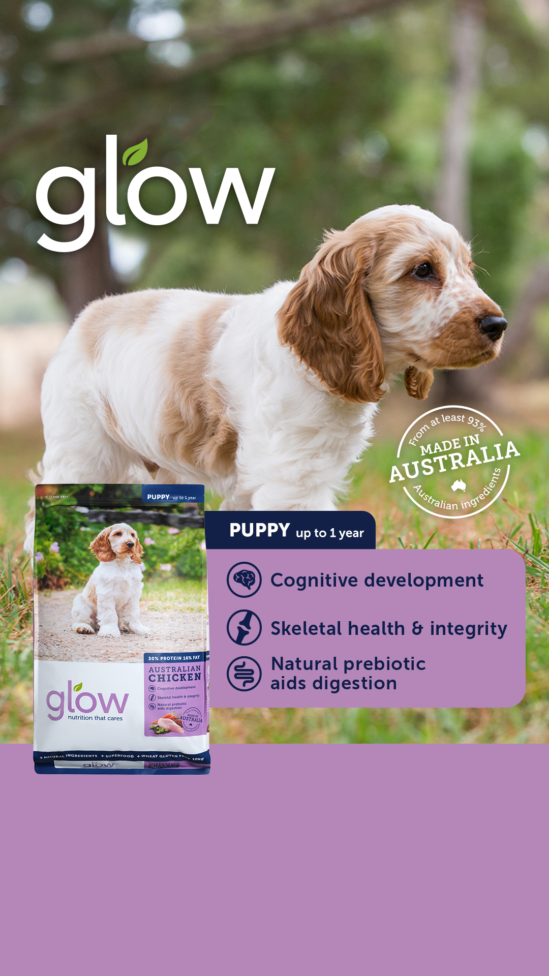 Petstock Facebook ad