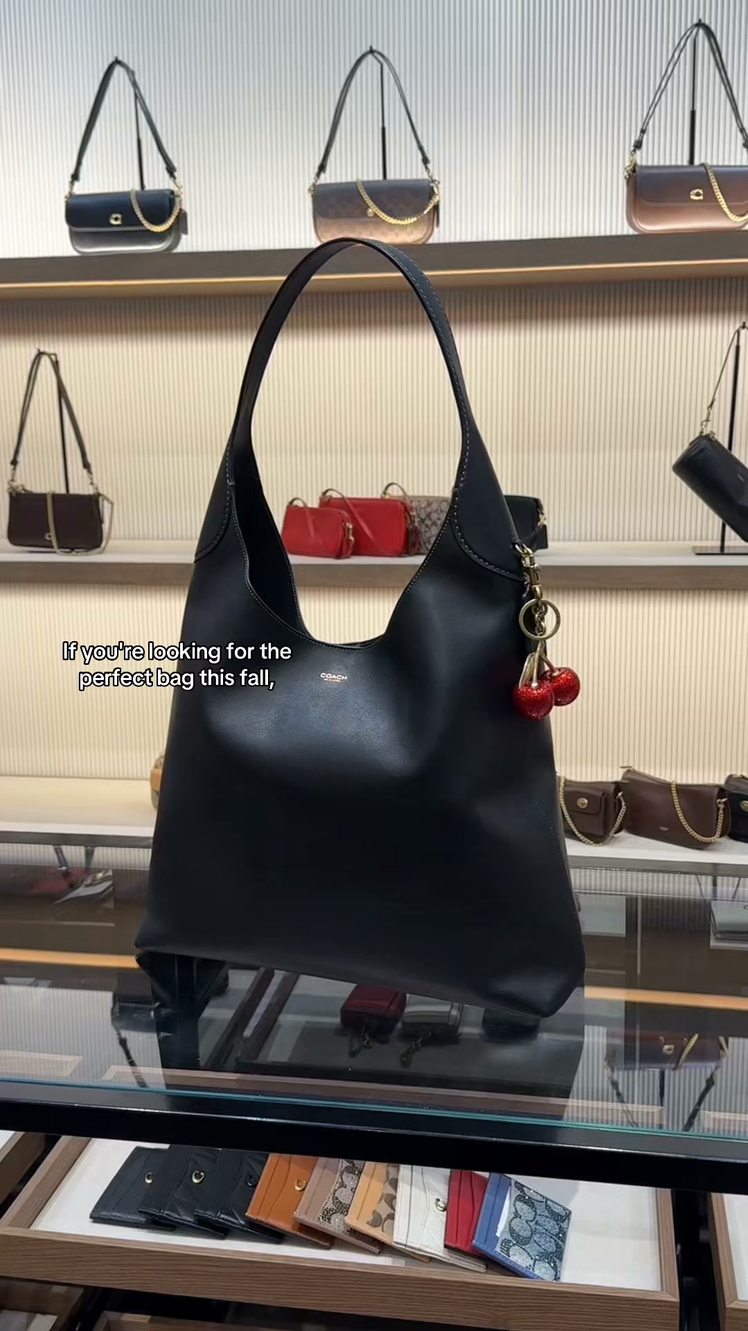 Coach Facebook ad: Loved by everyone (for good reason).