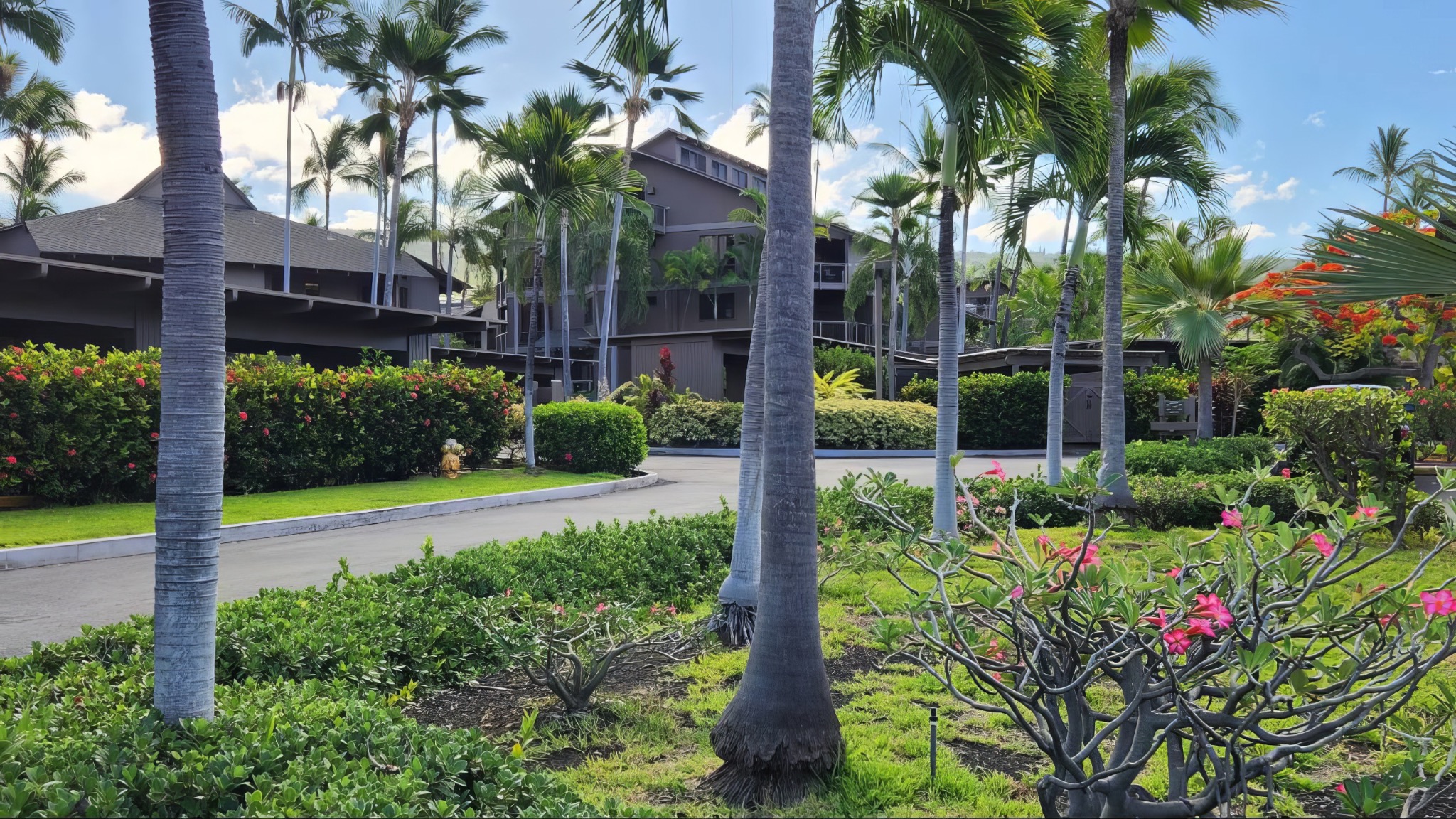 Hawaii Life Real Estate Brokers Facebook ad