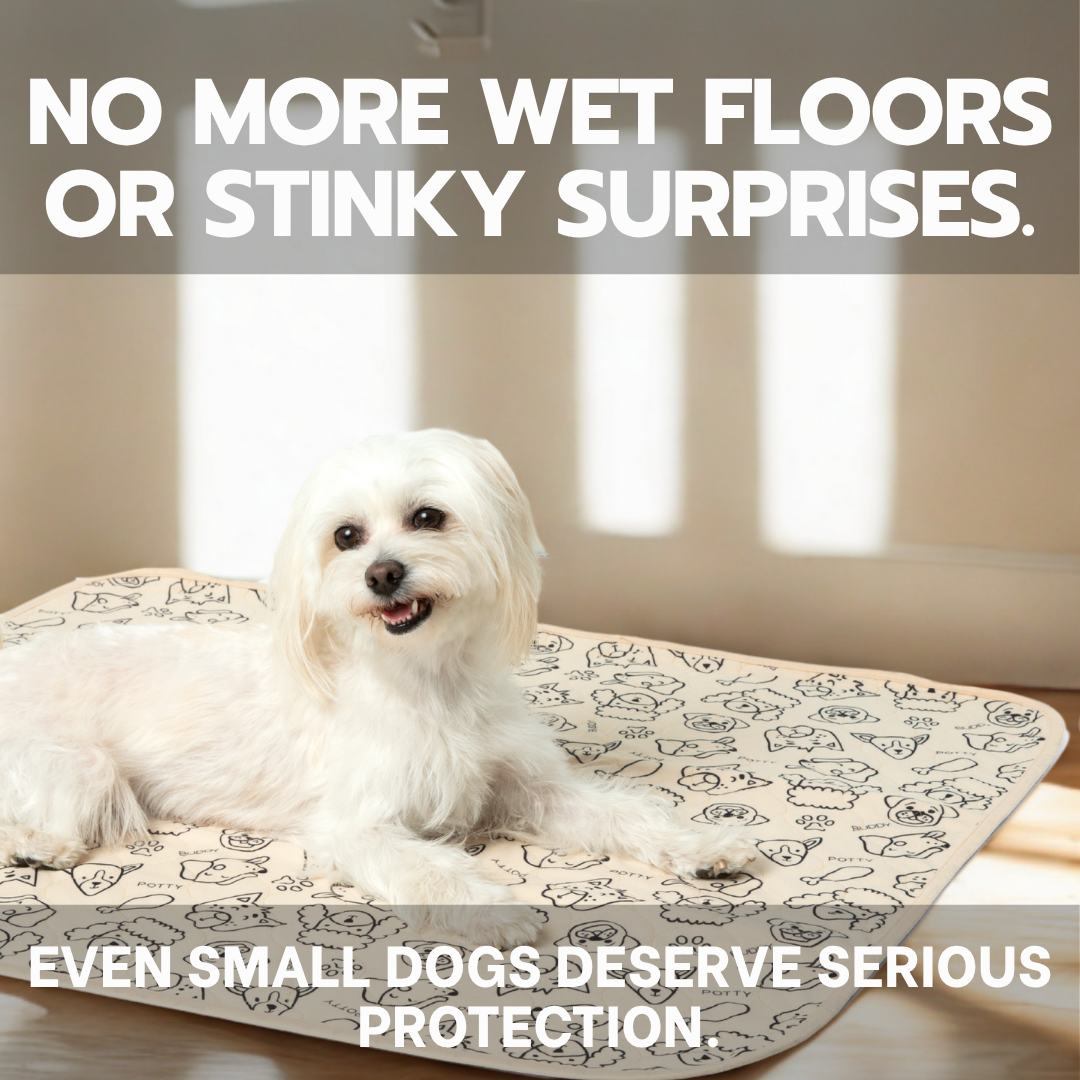 Potty Buddy Facebook ad