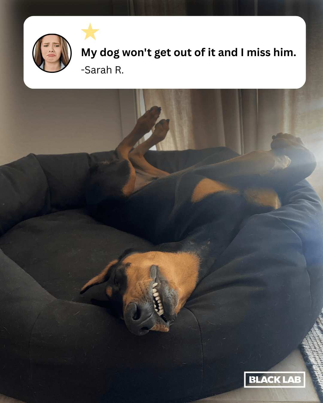 Black Lab Brands Facebook ad