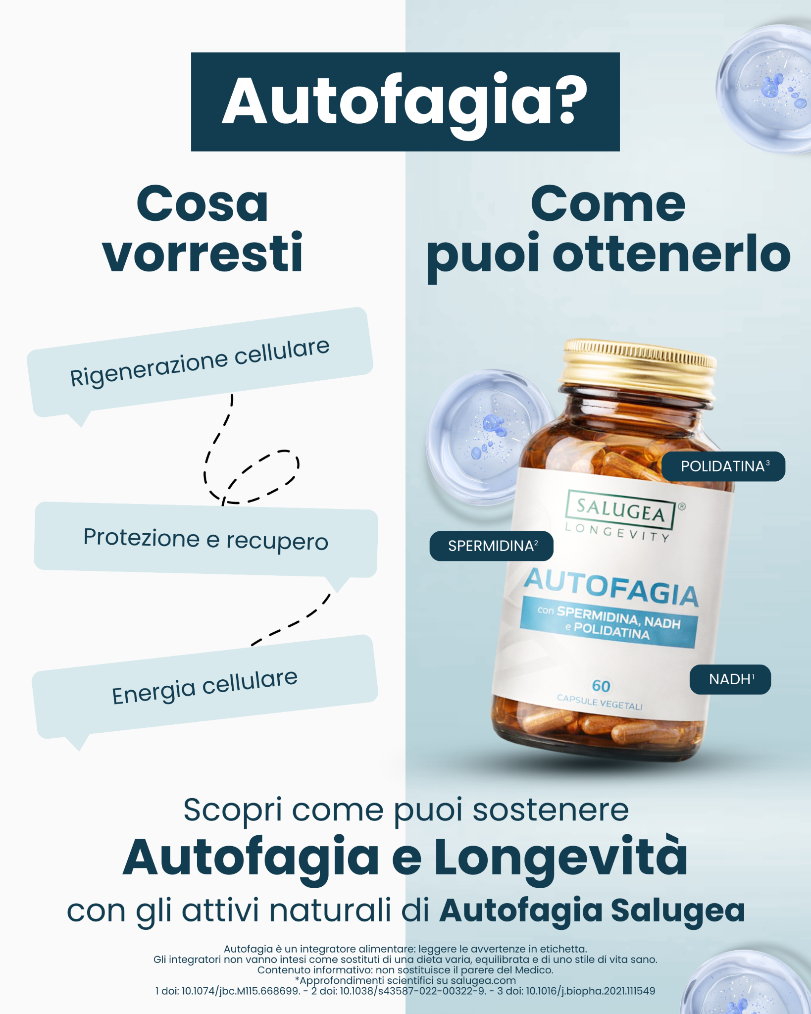 Salugea Facebook ad
