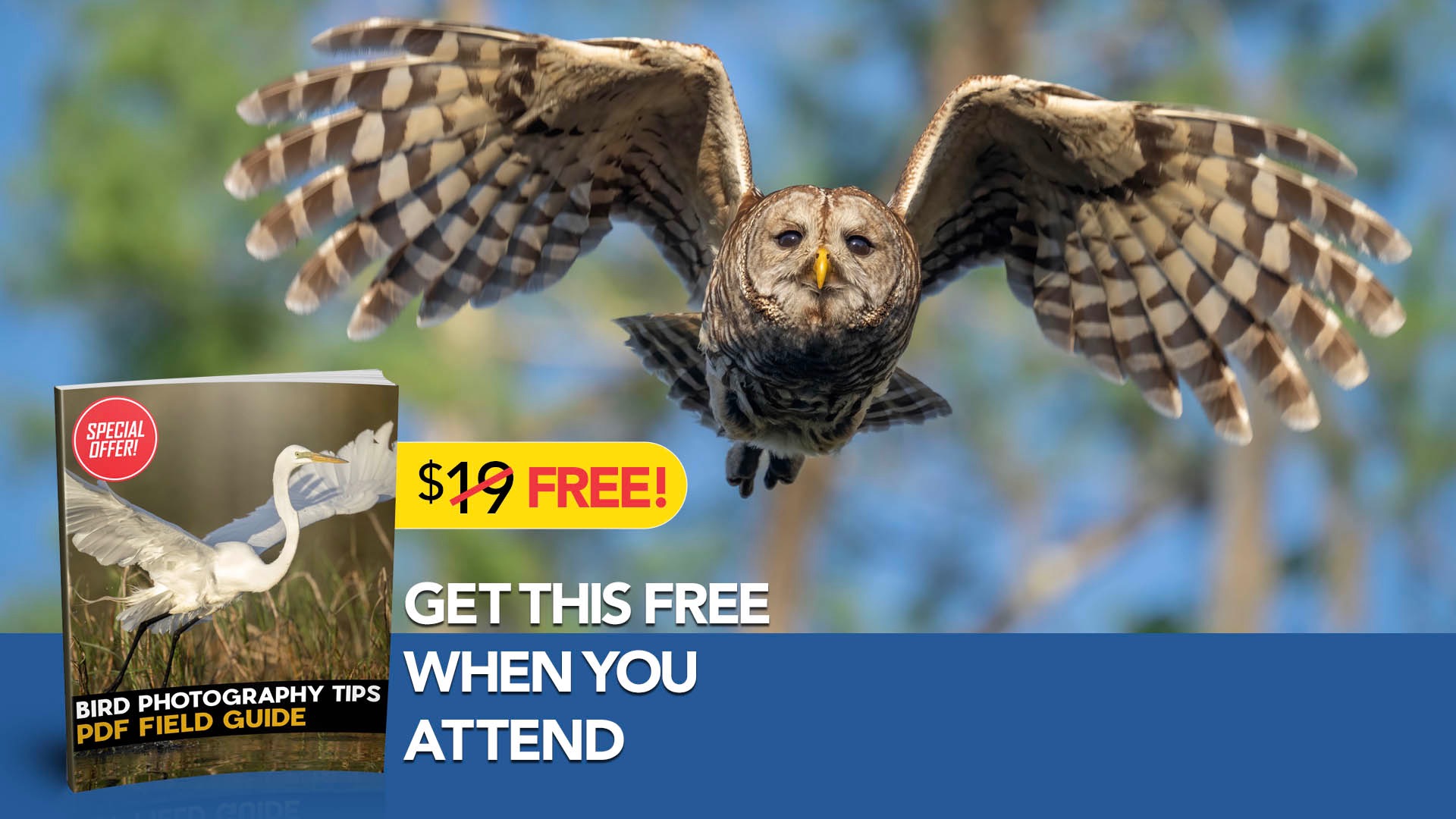 Matt Kloskowski Facebook ad from Feb 27, 2025