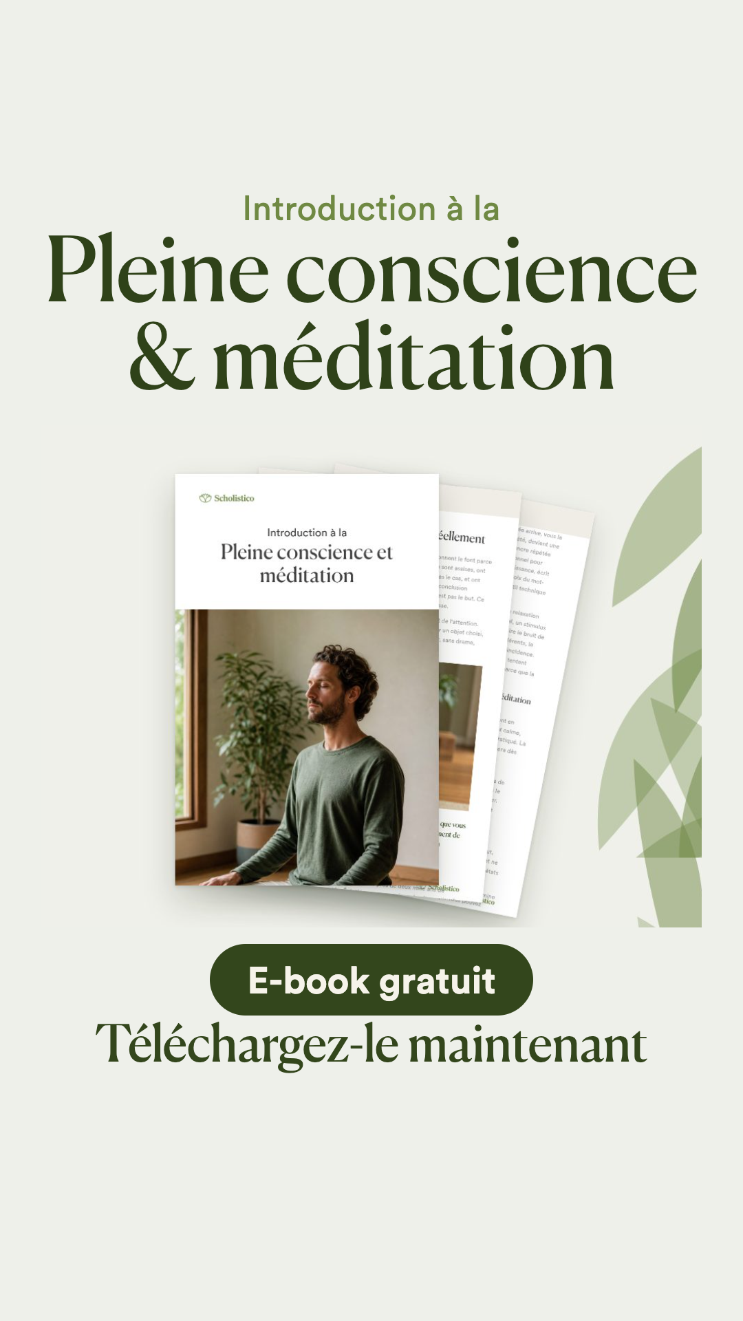 Scholistico en Français Facebook ad: [GRATUIT] Pleine conscience & méditation