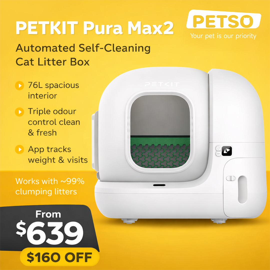 PETSO Facebook ad
