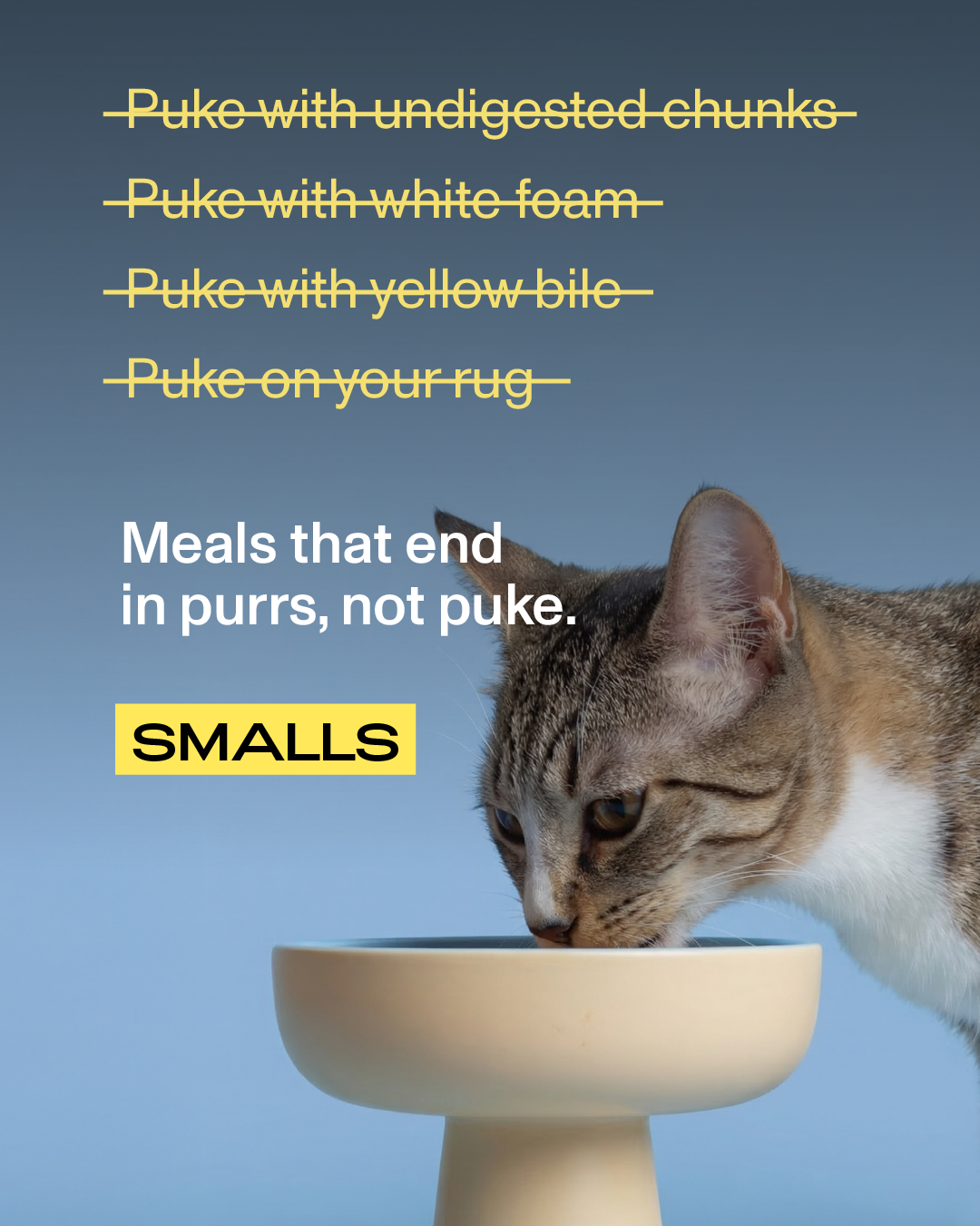 Smalls Facebook ad