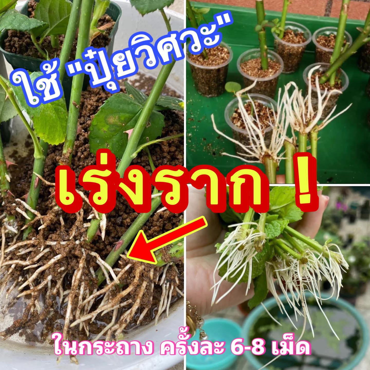 เกษตรล้ำโลก Facebook ad
