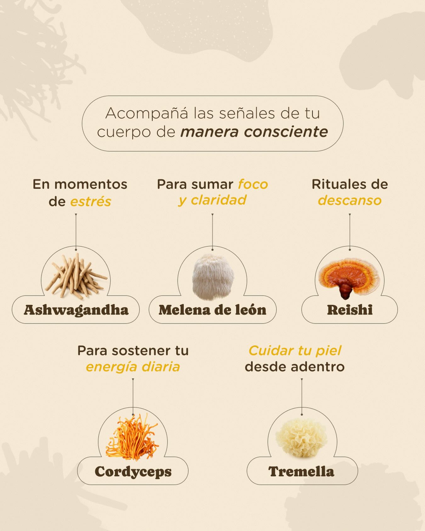 Adaptogénica Facebook ad
