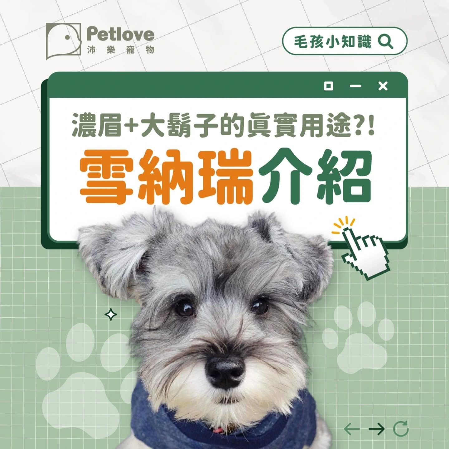Petlove沛樂寵物 Facebook ad