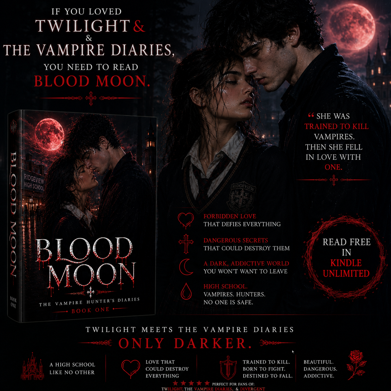 David Clark - Author Facebook ad: Twilight, but darker!