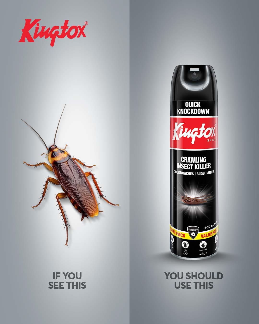 Kingtox Facebook ad: You better do this
