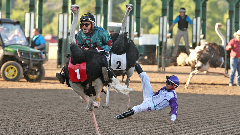 Remington Park Facebook ad