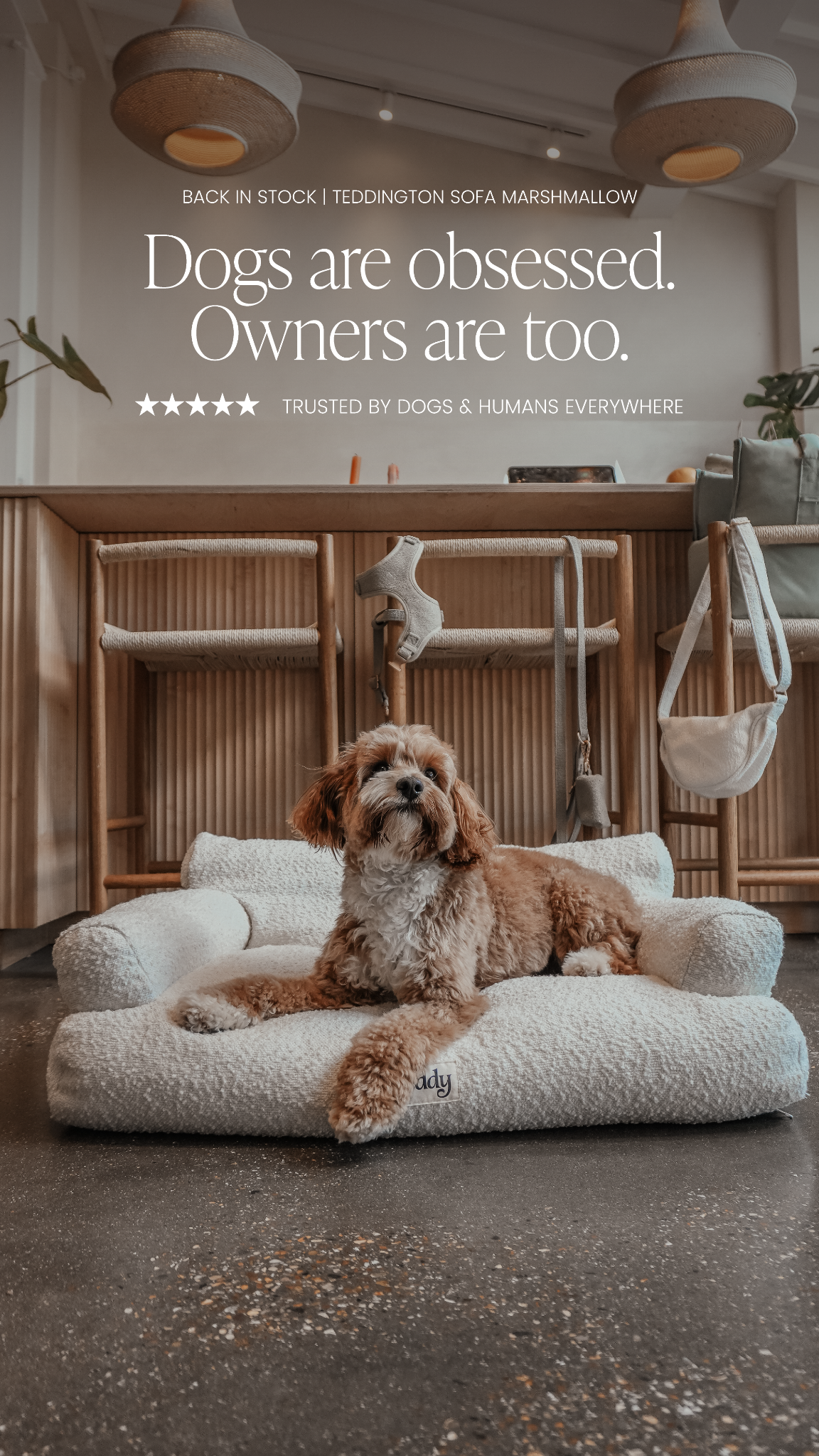 By Teddy Facebook ad