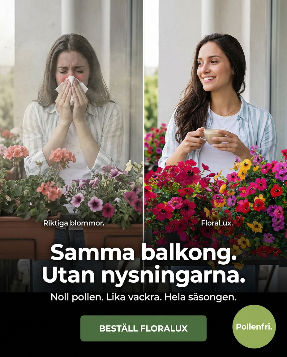 Norillo Facebook ad