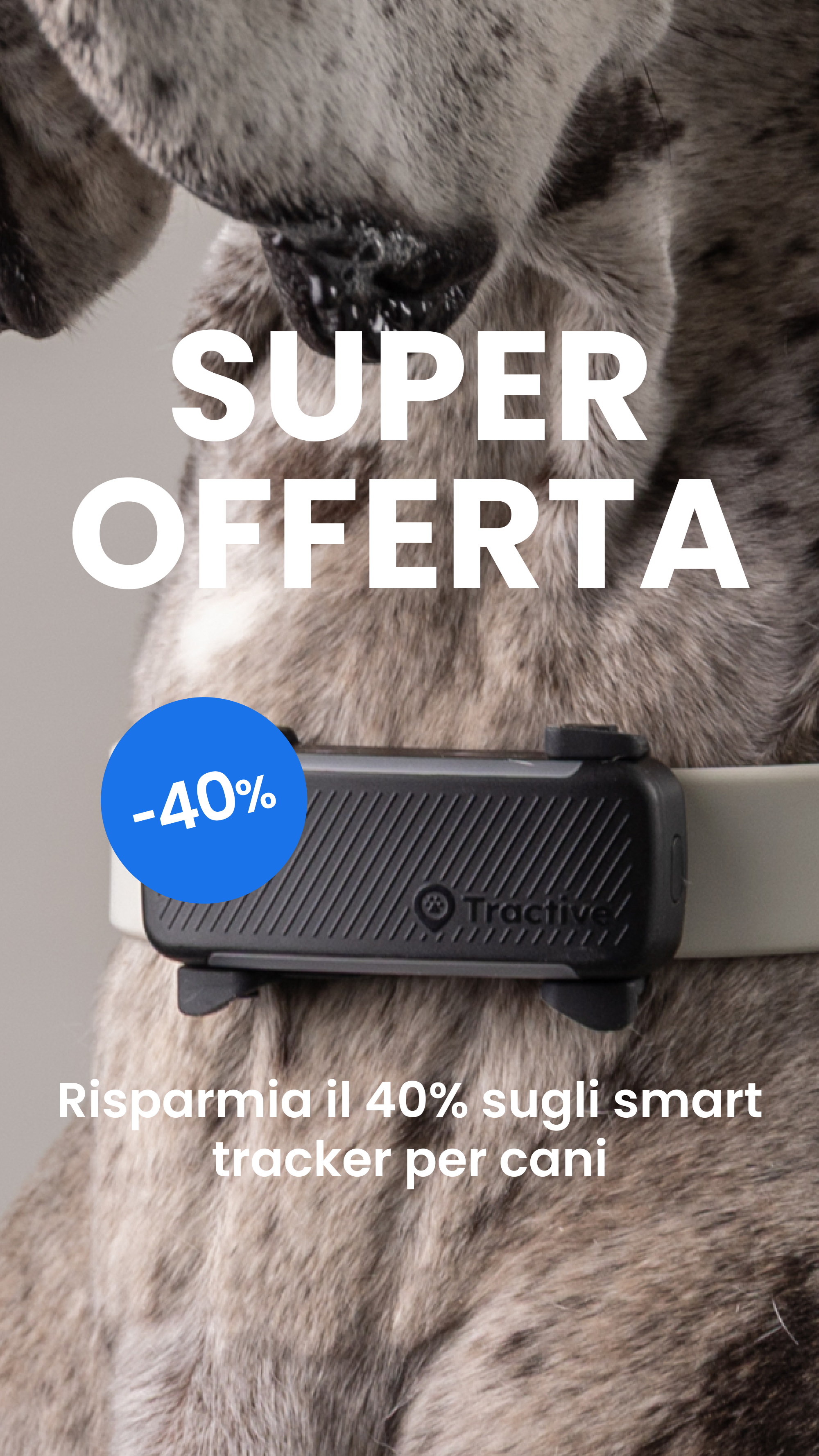 Tractive Facebook ad