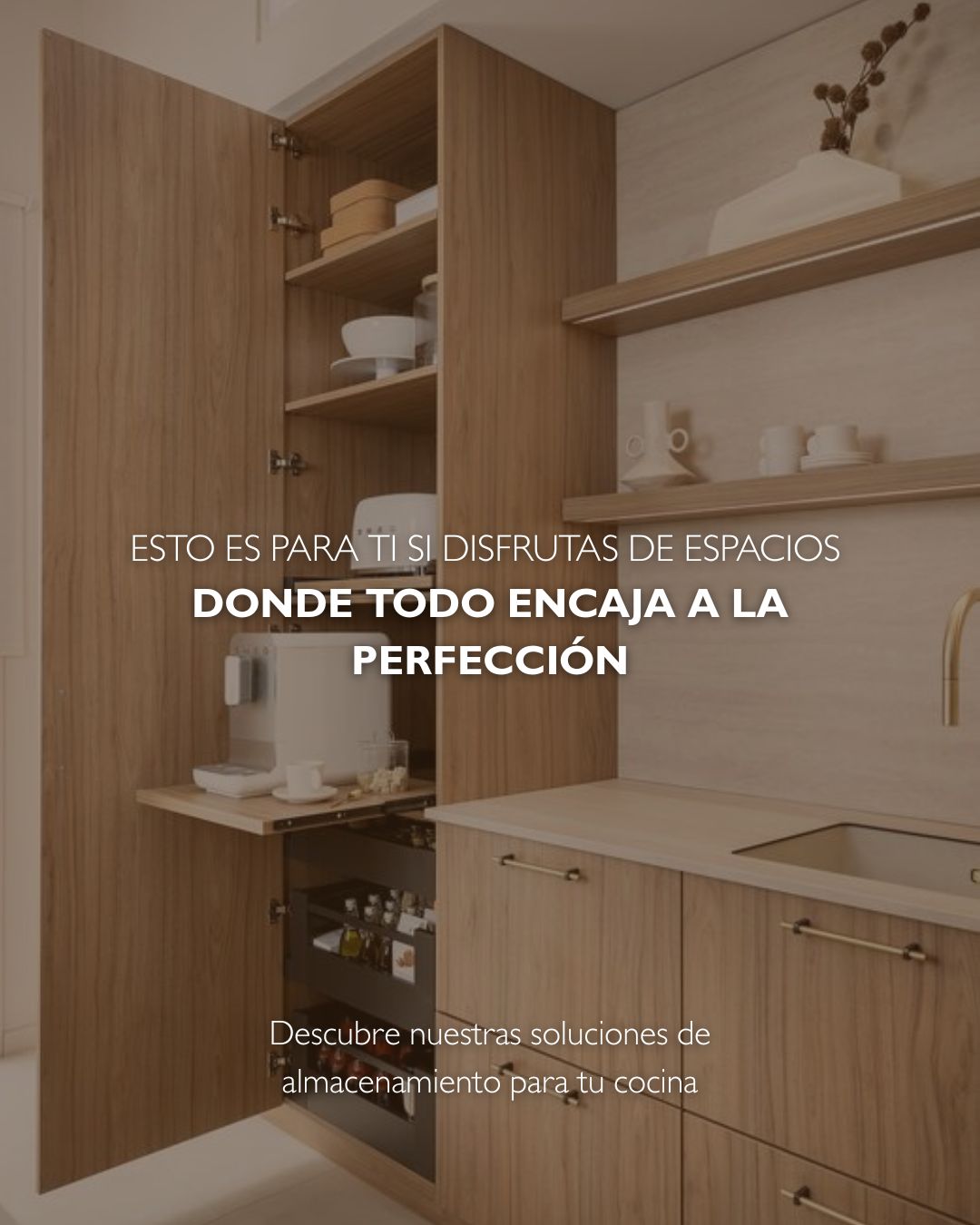 Schmidt Facebook ad: Descubre soluciones de almacenamiento que optimizan cada…