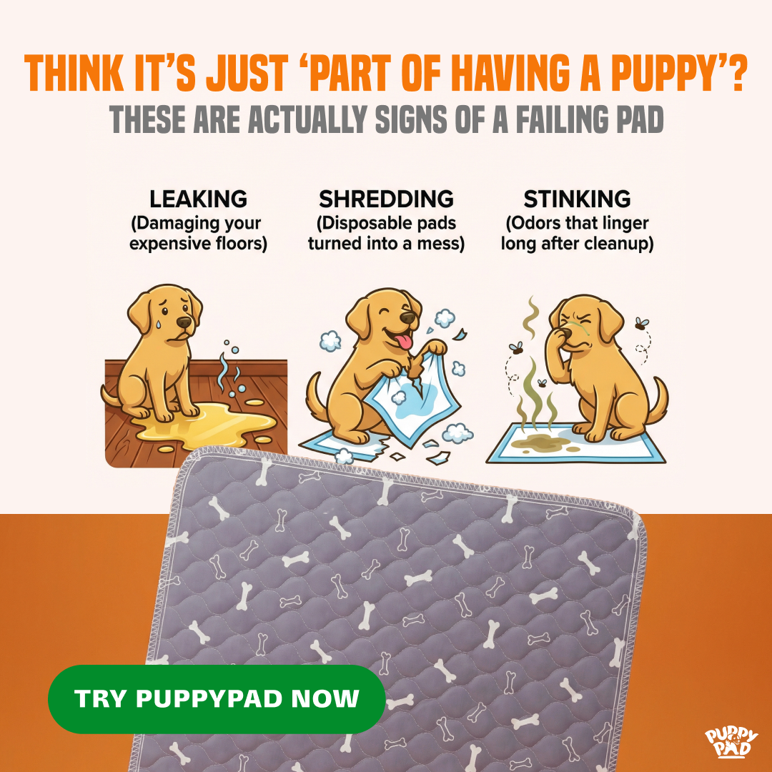 PuppyPad Facebook ad