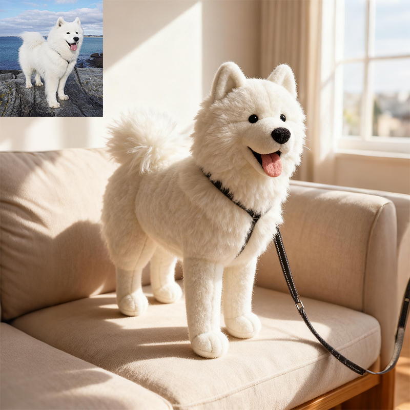 iitton.com Facebook ad