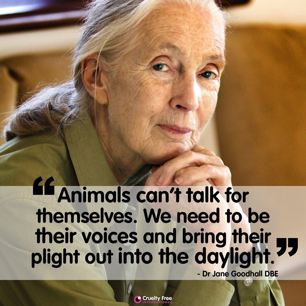 Animal Matters Facebook ad