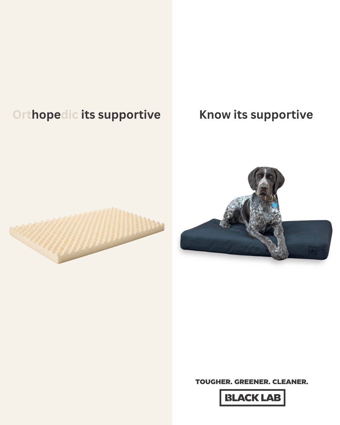 Black Lab Brands Facebook ad