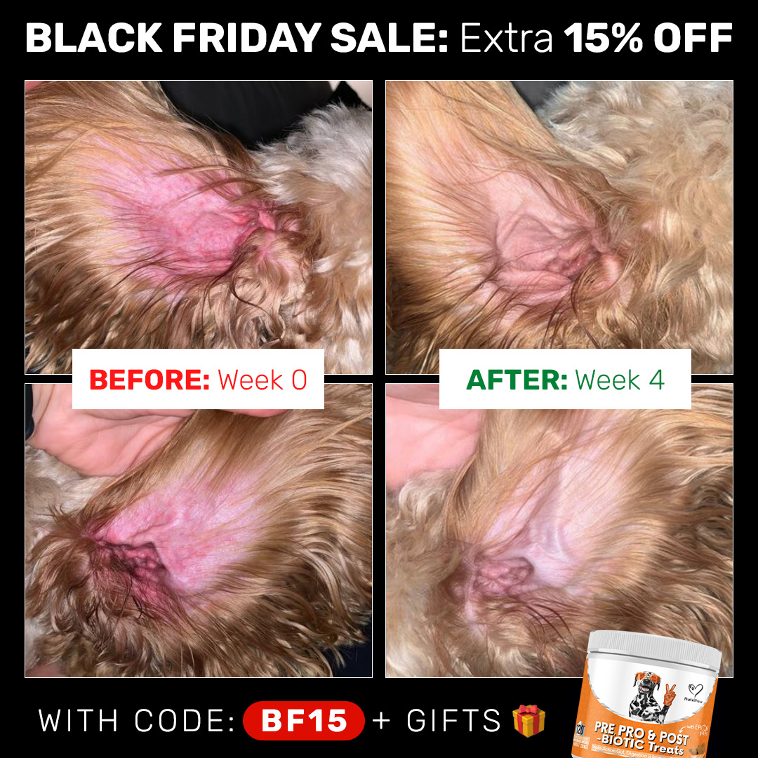 Healthy Dog 24/7 Facebook ad