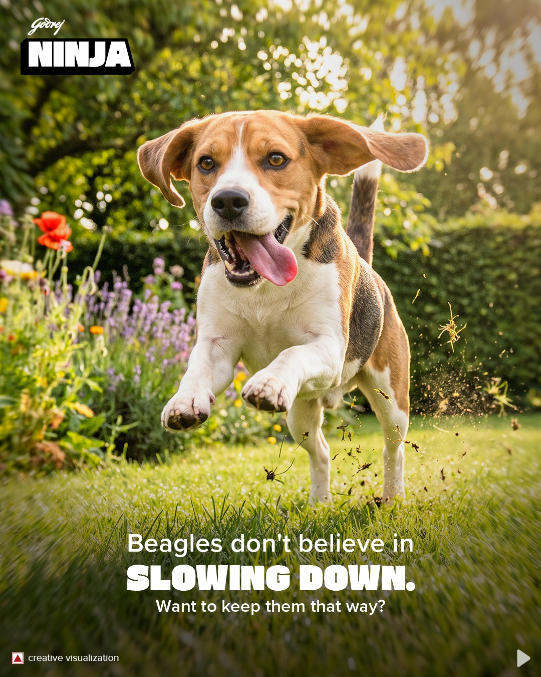 Godrej Ninja Facebook ad: If there's a trail to follow, a Beagle's…